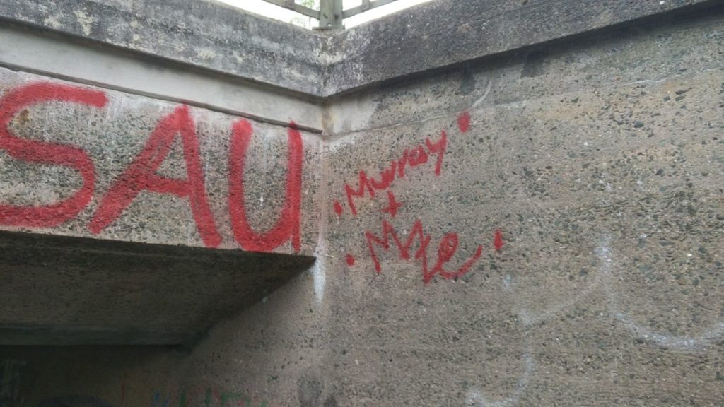 mry mze Idioten 